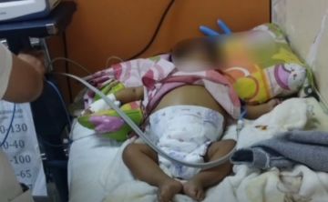 Bebé de 6 meses necesita un trasplante de hígado, la familia pide ayuda 