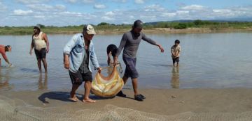 Expectativa en Villa Montes por un nuevo cardumen de sábalo 