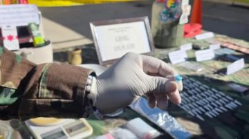 Golpe millonario al narcotráfico: secuestran cocaína, tusi y marihuana