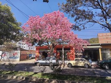 Otoño en Tarija