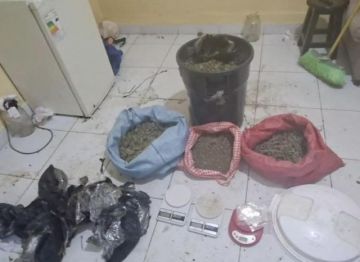 FELCN encuentra marihuana para microtráfico y animales en un inmueble