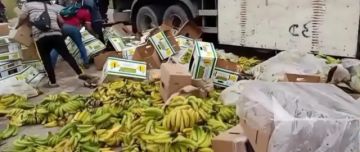 Bananeros exigen a cocaleros resarcir pérdidas