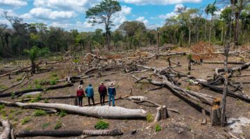 Nace VISTA, la herramienta que revela el asedio y la deforestación en tierras indígenas de Bolivia