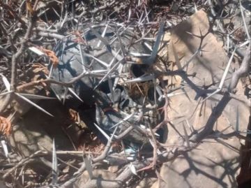 Hallan un cráneo humano pintado de negro y rodeado de velas en Cochabamba
