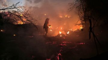 Incendio arrasa 12 hectáreas en El Portillo; investigan al responsable de la quema