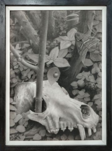 Jardín, de Sergio Miranda