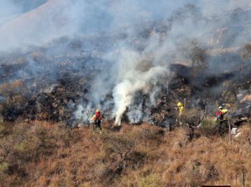 Incendio en Erquis moviliza a los bomberos, advierten que avanza rápidamente 
