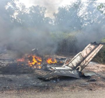DGAC: Caso de la aeronave hallada en Villa Montes corresponde a un presunto hecho ilícito