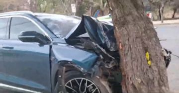 Tarija: Vehículo choca contra un árbol, el conductor salió ileso 