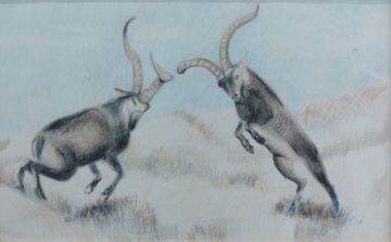 Obra de Facundo Matías Choque Catari