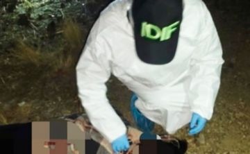 Bolivia: Sube a 50 la cifra de feminicidios