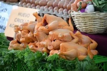 Indivisibles por el plato: la crisis del pollo probó que Bolivia funciona como un solo sistema de complementariedad