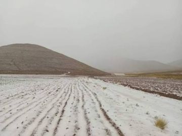 Nevadas afectaron a 800 familias en Yunchará