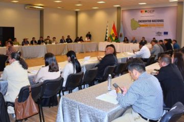 La OEP recogerá propuestas para la reforma electoral 