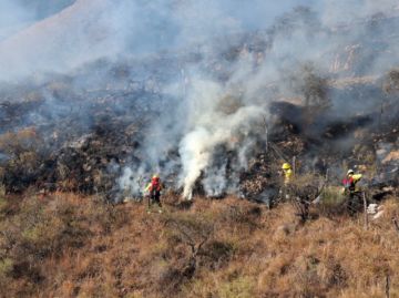 Incendios: 26 denuncias y un reto pendiente para la justicia