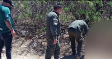 Hallan el cuerpo de un hombre con signos de tortura en Cochabamba  