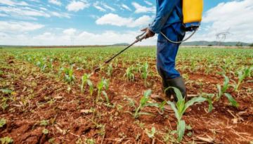 Senasag capacitará sobre el uso de agroquímicos 