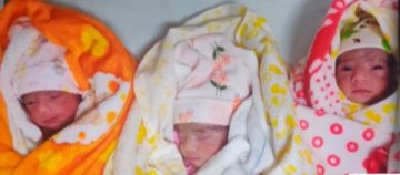 Trillizas en Tarija: la felicidad de una familia que pide una mano solidaria