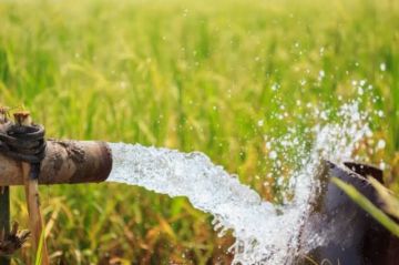 Productores reclaman por falta de agua para riego