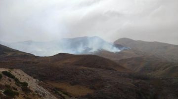 Piden alimento para ganado que sobrevivió al incendio