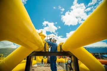 Decreto autoriza la importación de gas para consumo propio y generación de electricidad