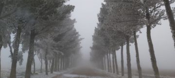 Una nevada tiñe de blanco la zona alta de Tarija (Imágenes)