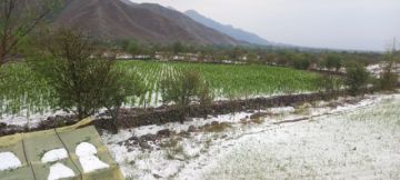 Techos de viviendas y cultivos agrícolas afectados por la granizada en comunidades de Tarija