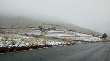 Zona alta de Tarija se viste de blanco