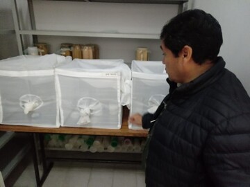 Agencias
