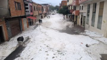 Redacción Central / El País