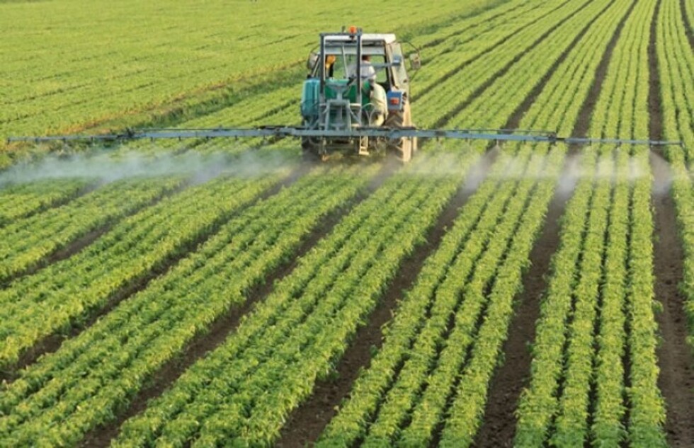 Agroindustria exportadora vs. Soberanía alimentaria