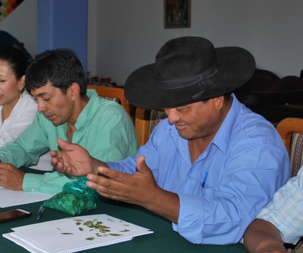 Luis Alfaro, el impertinente