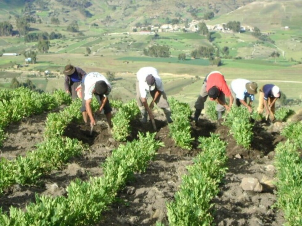 Falta de acceso a mercados impide despegue productivo