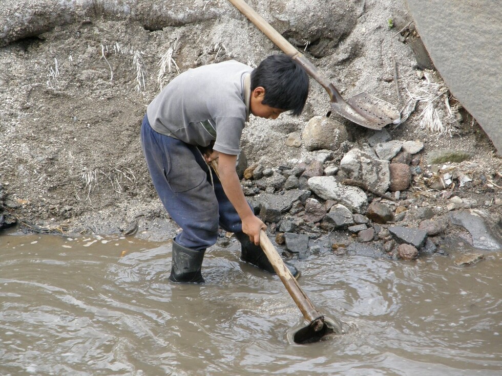 168 millones de niños son  víctimas del trabajo infantil