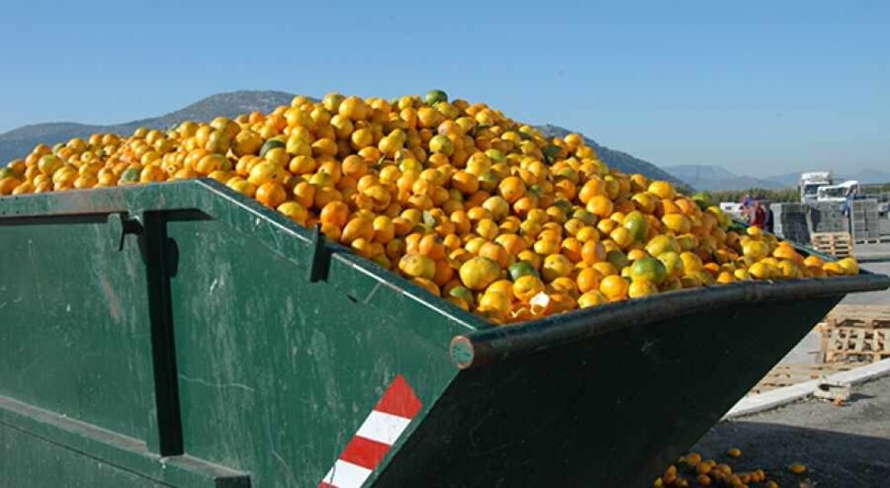 La FAO revela los costos del desperdicio de alimentos