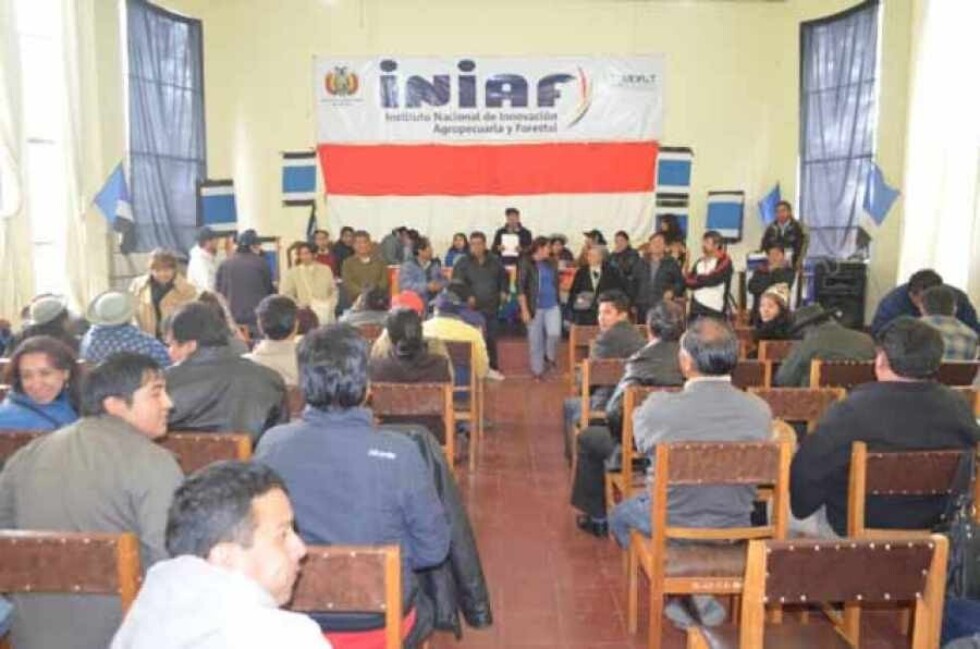 La mala palabra del MAS