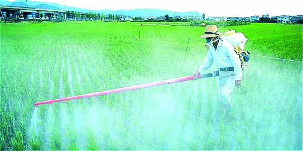 Nuevos oligopolios buscan tener el control alimentario