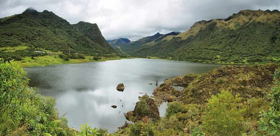 Sugieren la infraestructura  verde para poder tener agua