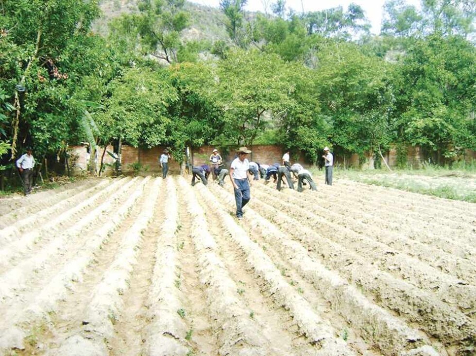 Latinoamérica, la región más desigual en acceso a la tierra