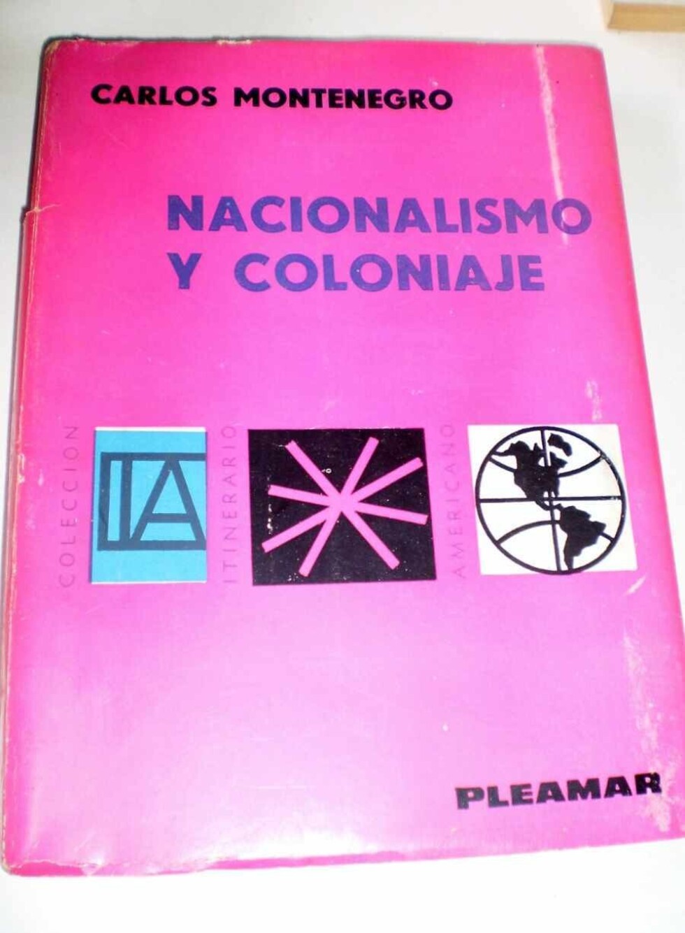 El ensayo indócil