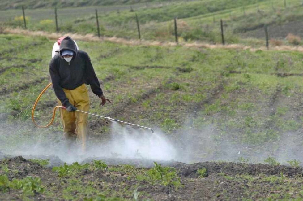 Revelan tácticas de Monsanto para ocultar posibles riesgos