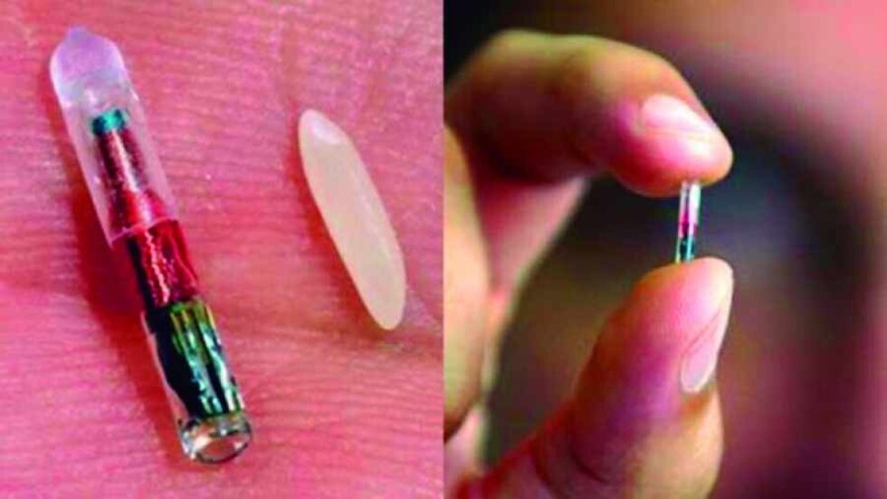 Ya implantan microchips en los cuerpos de los trabajadores
