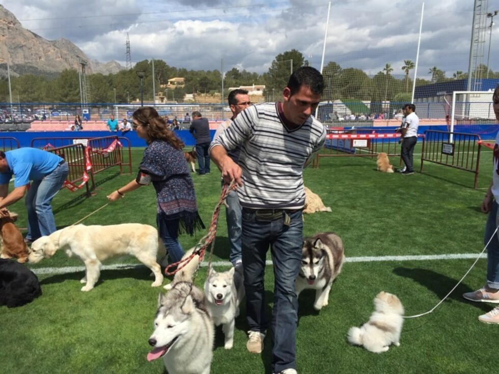 Inicia el Circuito Canino Guadalquivir el domingo
