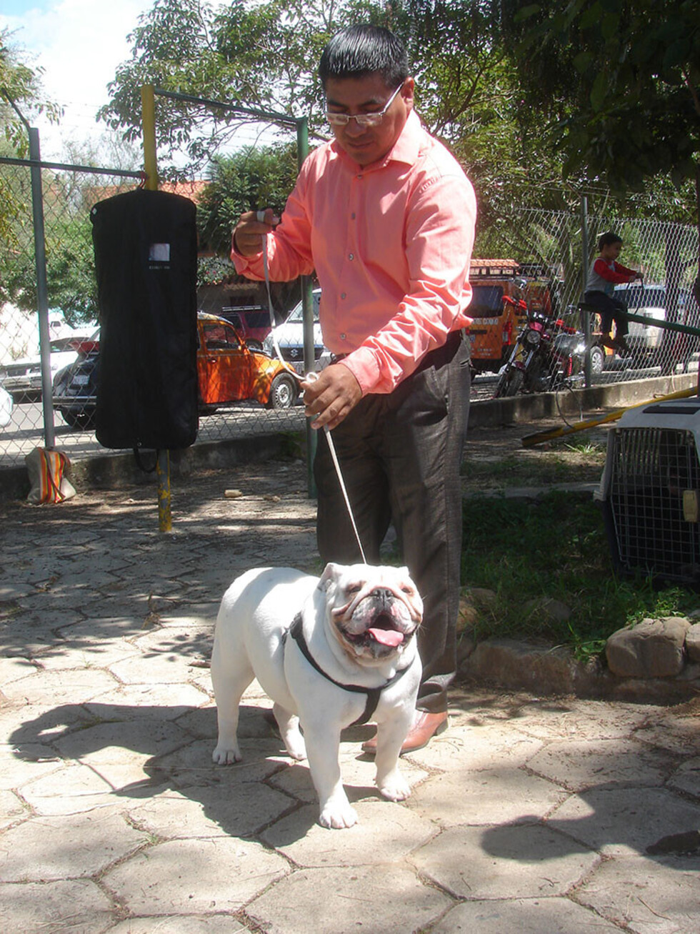 Circuito Internacional Canino en Tarija