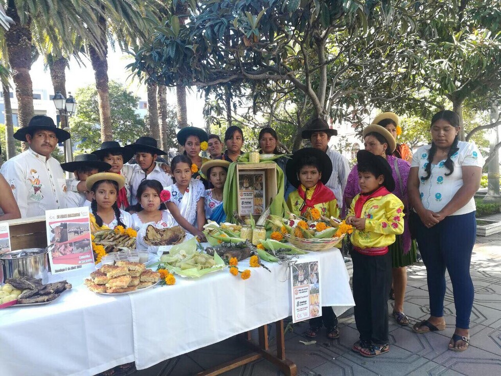 Alcaldía impulsa feria del choclo en San Jacinto Sud y feria ganadera en San Andrés