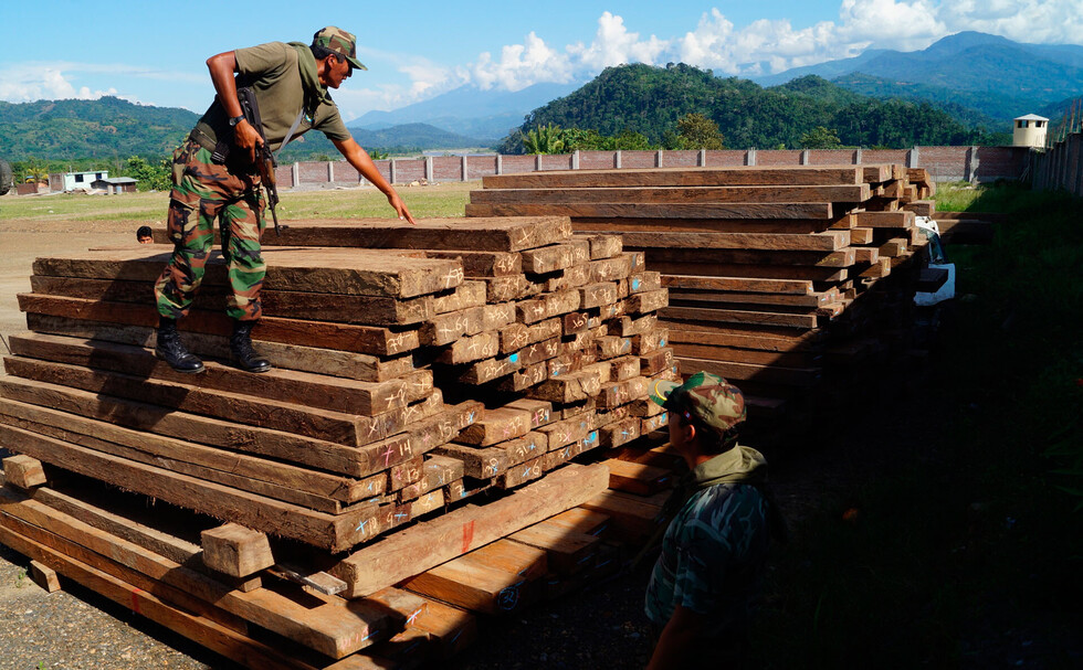 Autoridad de bosques decomisa cerca de 10.000 pies tablares de madera ilegal en Tarija