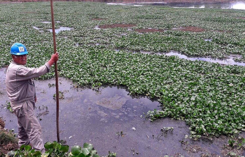 Dos empresas compiten para adjudicarse la construcción de la planta de tratamiento en San Blas