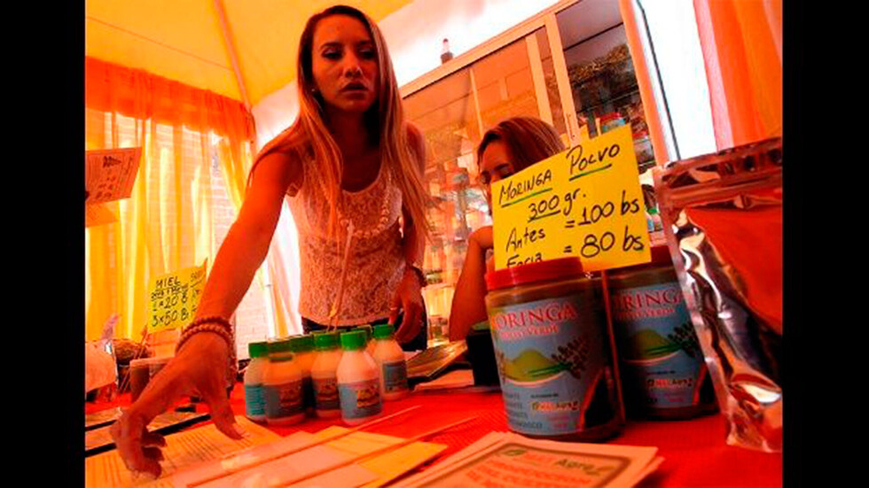La moringa, el árbol “milagroso” de moda