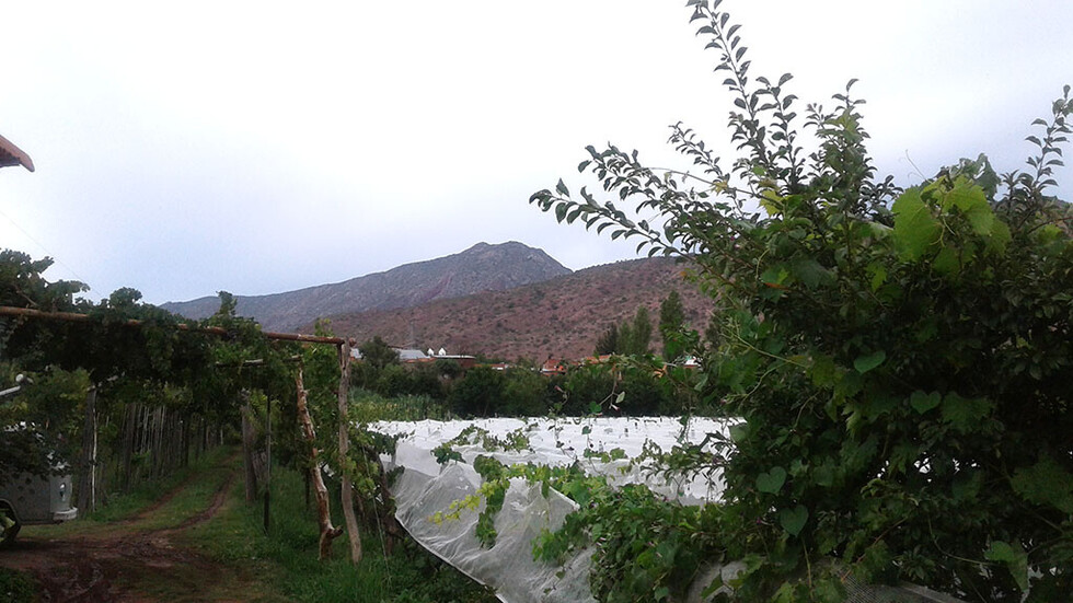 Finca y torres de la iglesia en la localidad de Villa Abecia