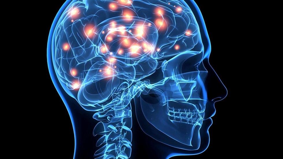 Científicos descubren la parte del cerebro relacionada con las 'experiencias espirituales'